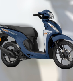 Tem Rời Xe Vision